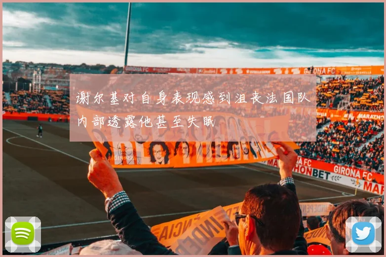 谢尔基对自身表现感到沮丧法国队内部透露他甚至失眠