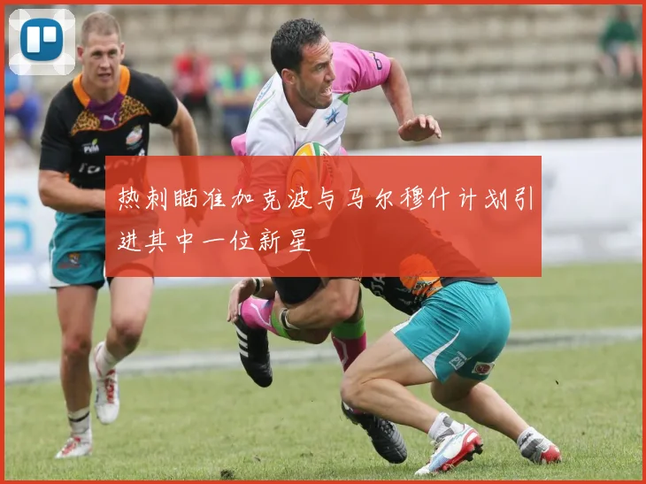 热刺瞄准加克波与马尔穆什计划引进其中一位新星