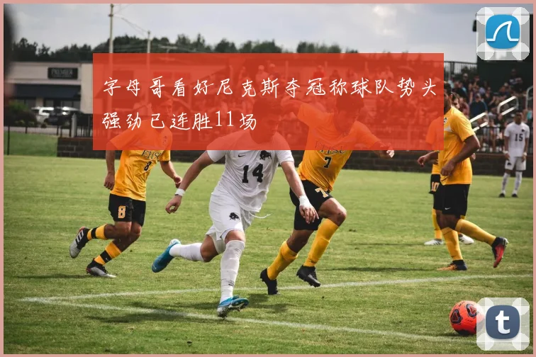 字母哥看好尼克斯夺冠称球队势头强劲已连胜11场